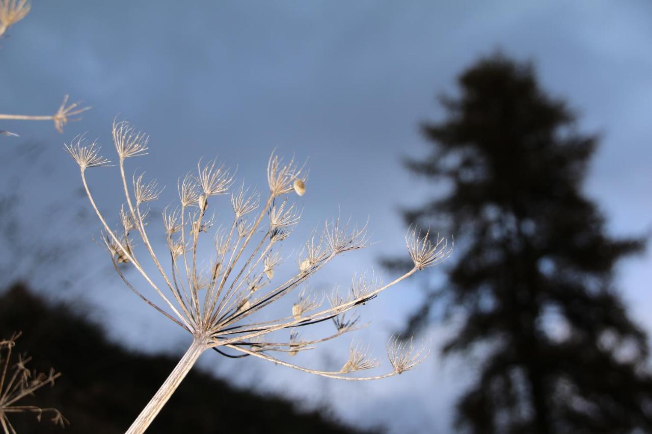 Magic Moments Daire Brail Dış mekan fotoğraf